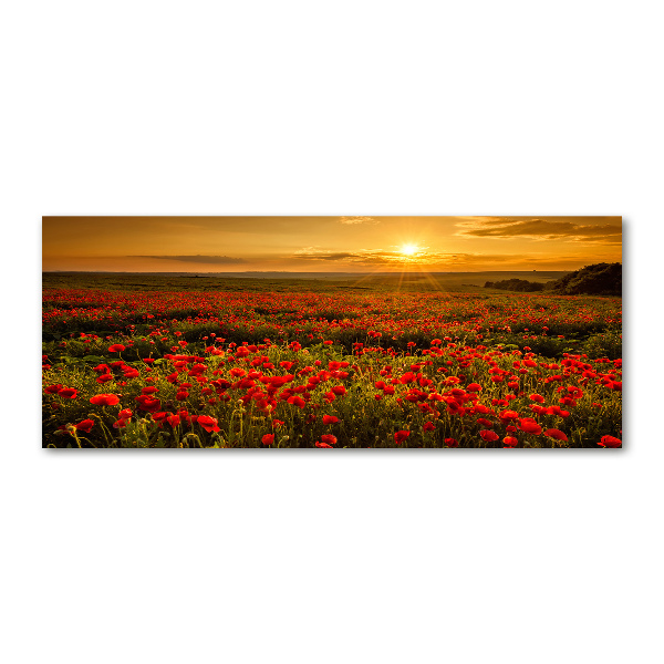 Foto obraz na ścianę akryl Pole maków