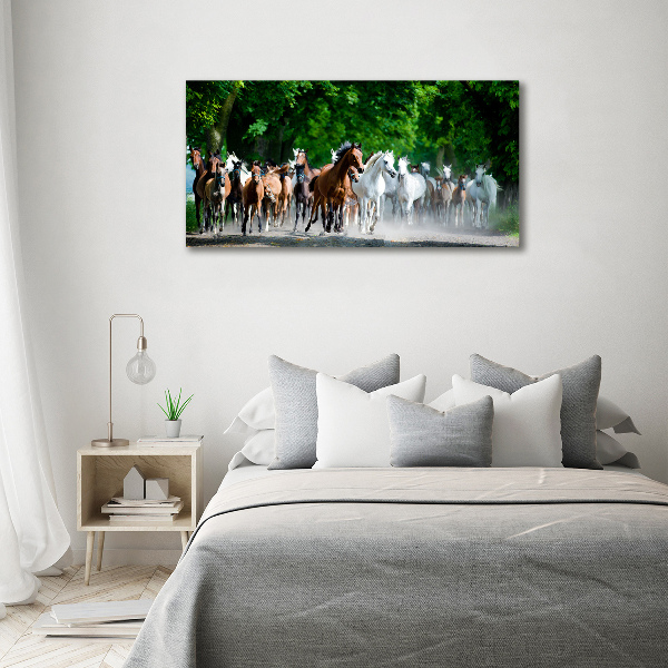 Foto plexiglas Paarden in galop