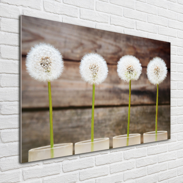 Foto op plexiglas Paardenbloemen