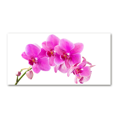 Plexiglas foto Roze orchidee
