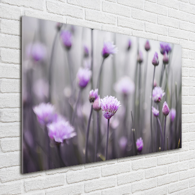 Schilderij op acrylglas Bieslookbloemen