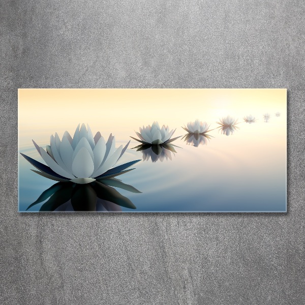 Foto op plexiglas Lotusbloemen