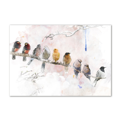 Obraz zdjęcie szkło akryl Ptaki na gałęzi