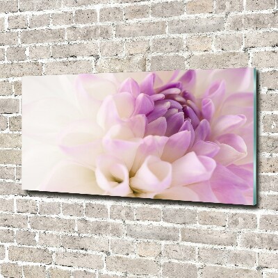 Plexiglas foto Witte dahlia