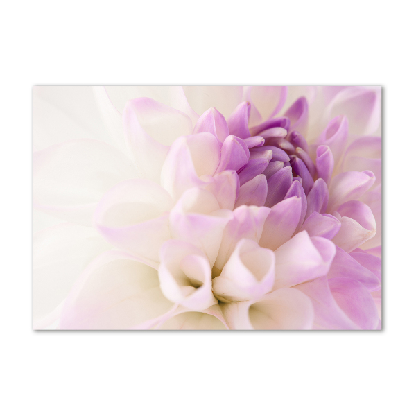 Plexiglas foto Witte dahlia