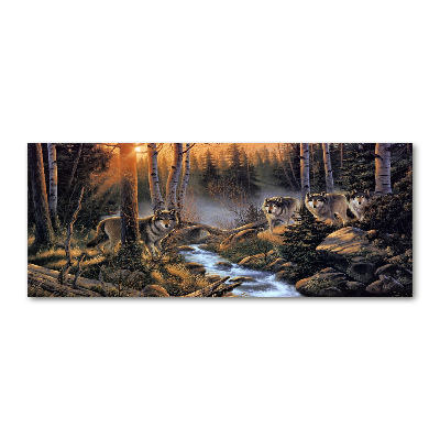 Foto op plexiglas Een roedel wolven