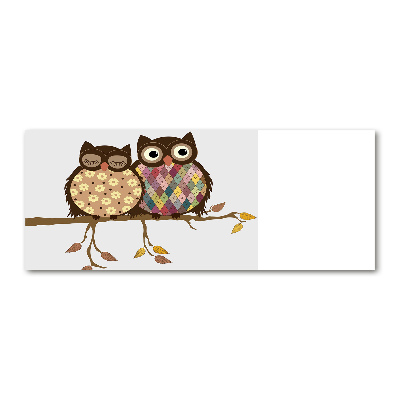 Plexiglas foto Twee uilen op een tak