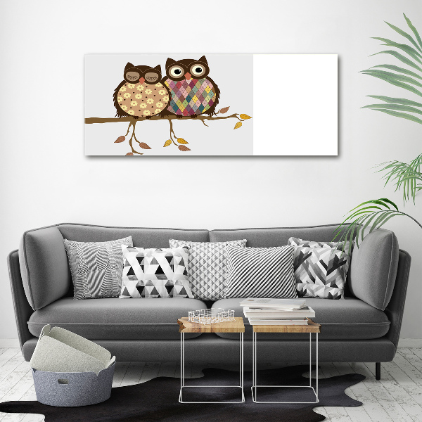 Plexiglas foto Twee uilen op een tak