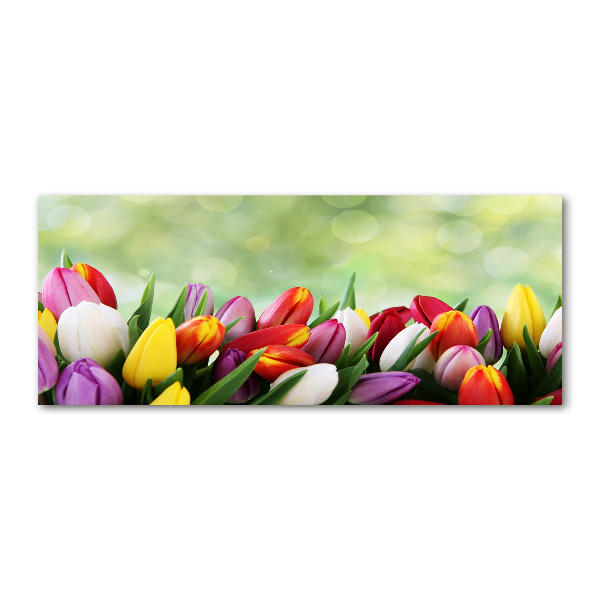 Foto op plexiglas Kleurrijke tulpen