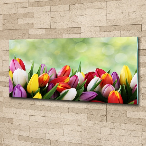 Foto op plexiglas Kleurrijke tulpen