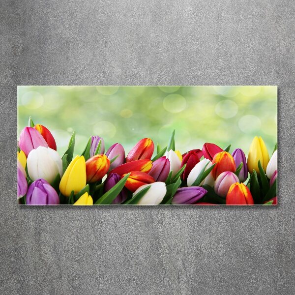 Foto op plexiglas Kleurrijke tulpen