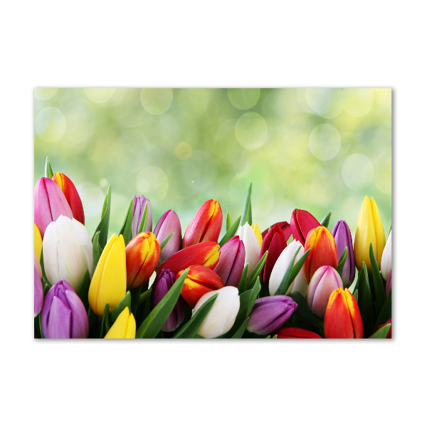 Foto op plexiglas Kleurrijke tulpen