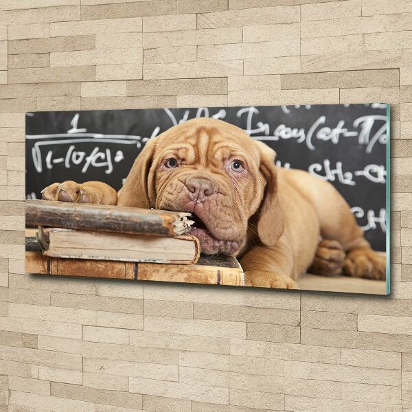 Foto in plexiglas De hond bijt in het boek.