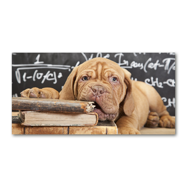 Foto in plexiglas De hond bijt in het boek.