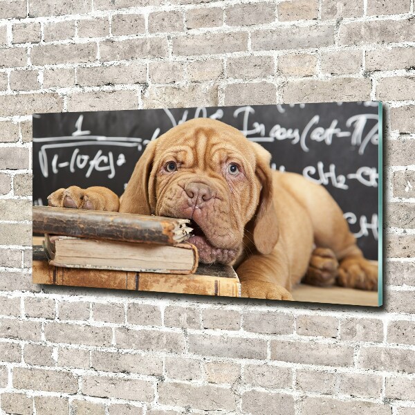 Foto in plexiglas De hond bijt in het boek.