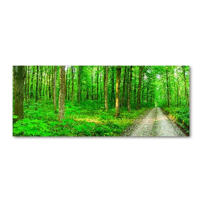 Foto plexiglas Bomen in het bos