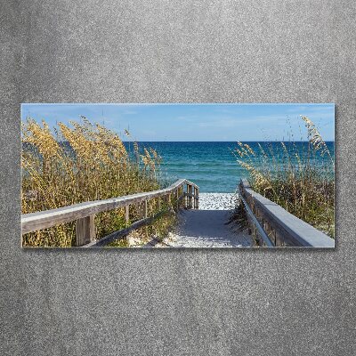 Foto plexiglas duinen aan zee