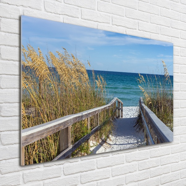 Foto plexiglas duinen aan zee