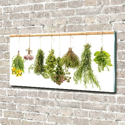 Foto in plexiglas Kruiden aan een touwtje