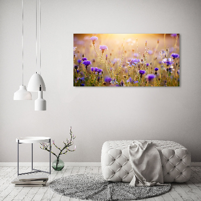 Plexiglas schilderij Wilde bloemen
