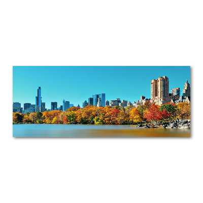 Foto in plexiglas New York in de herfst