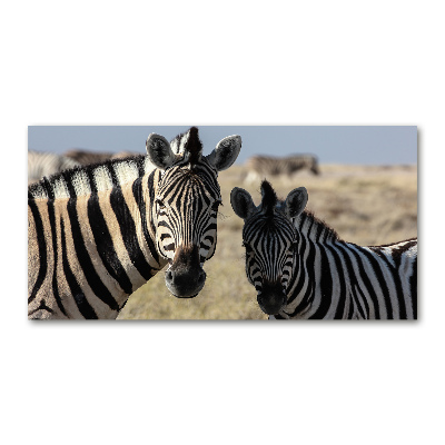 Foto op plexiglas Twee zebra's