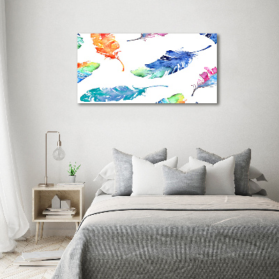 Schilderij op acrylglas Kleurrijke veren