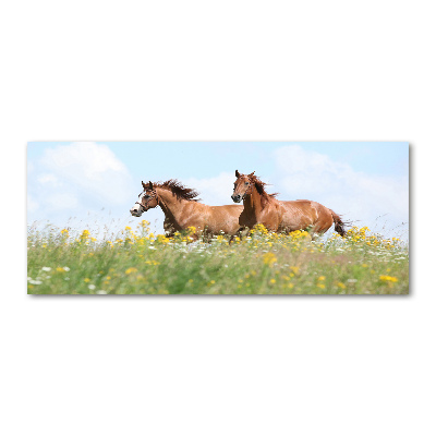 Plexiglas foto Twee paarden in galop