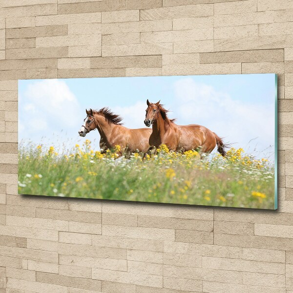 Plexiglas foto Twee paarden in galop