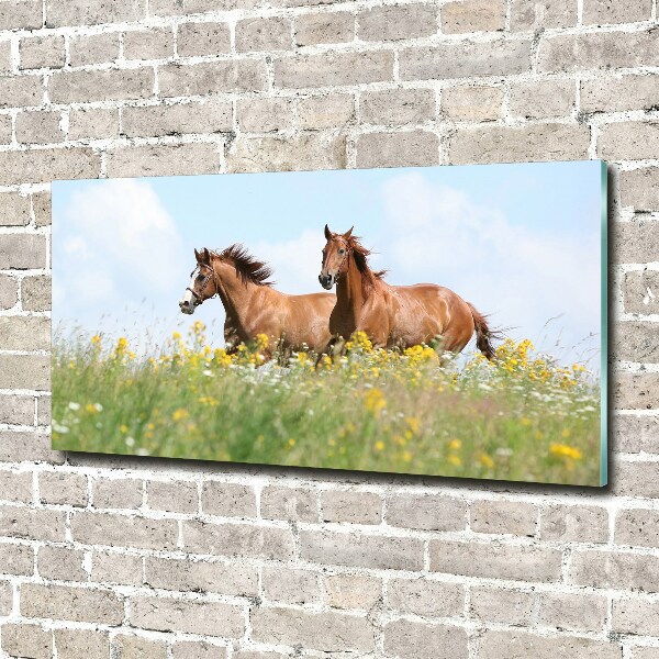 Plexiglas foto Twee paarden in galop