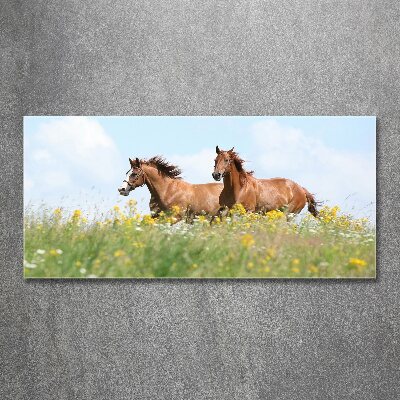 Plexiglas foto Twee paarden in galop