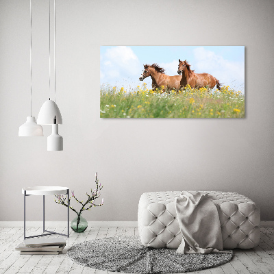 Plexiglas foto Twee paarden in galop
