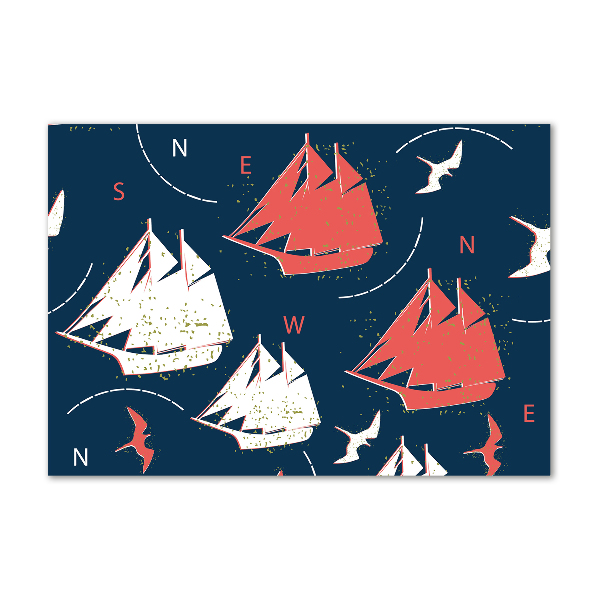 Plexiglas foto Schepen zeevogels