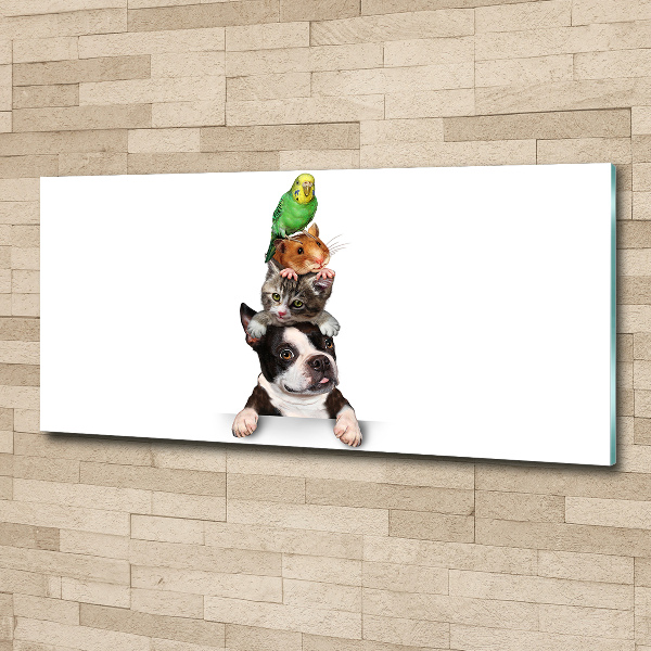 Foto in plexiglas Een groep dieren