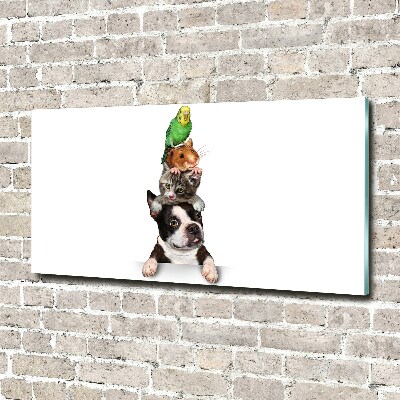 Foto in plexiglas Een groep dieren