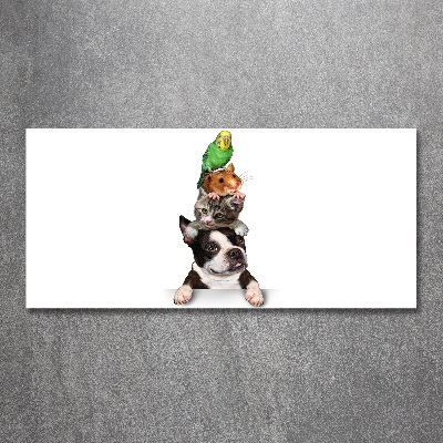 Foto in plexiglas Een groep dieren