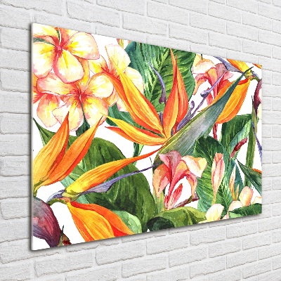 Plexiglas schilderij Tropische bloemen