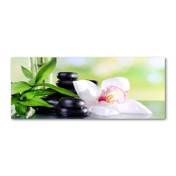 Foto plexiglas Orchidee