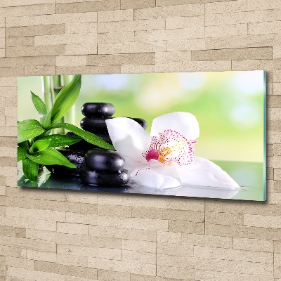 Foto plexiglas Orchidee