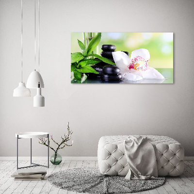 Foto plexiglas Orchidee