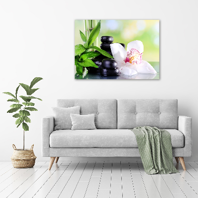 Foto plexiglas Orchidee