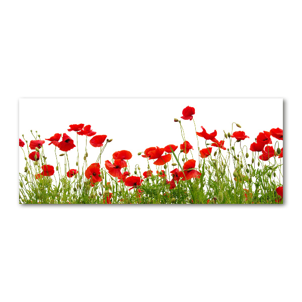 Foto in plexiglas Klaprozen