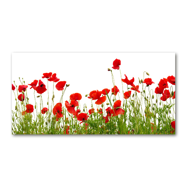 Foto in plexiglas Klaprozen