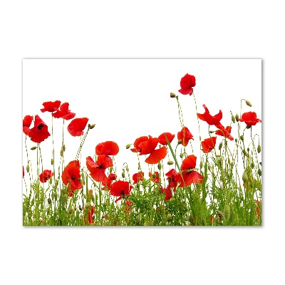 Foto in plexiglas Klaprozen