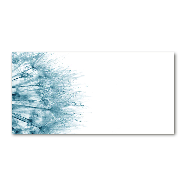 Plexiglas schilderij Paardebloem