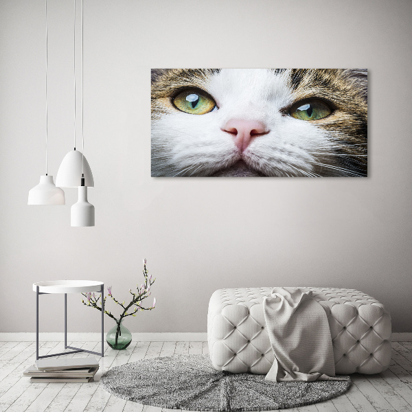 Foto op plexiglas Groene kattenogen