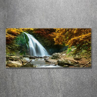 Foto op plexiglas Waterval in het bos