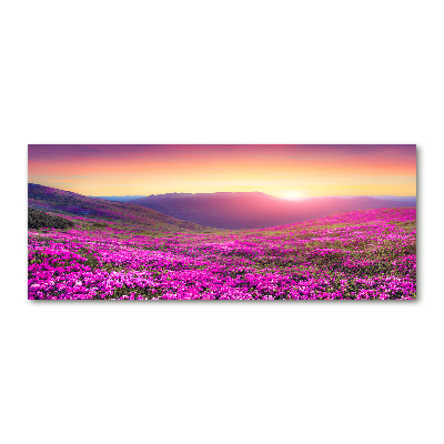 Plexiglas foto Roze heuvels