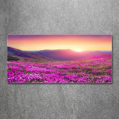 Plexiglas foto Roze heuvels