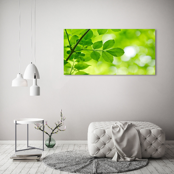 Plexiglas foto Groene bladeren